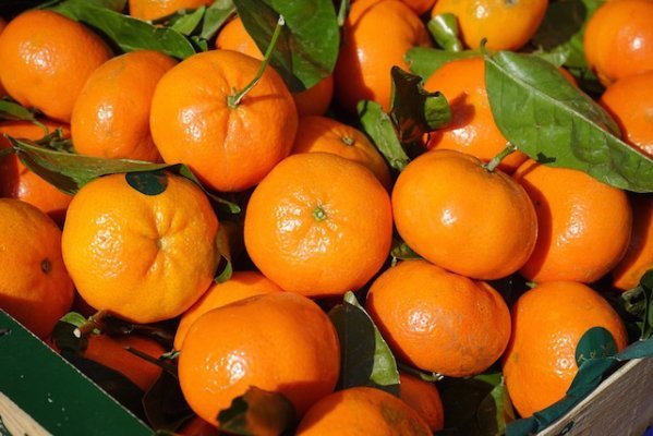 clementine.jpg