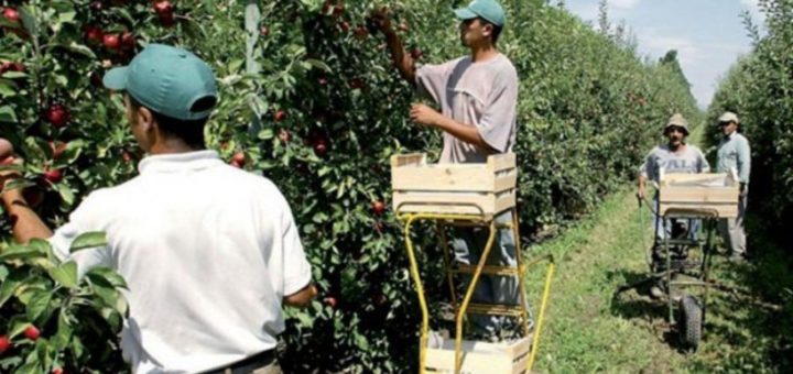 emploi_agriculture.jpg