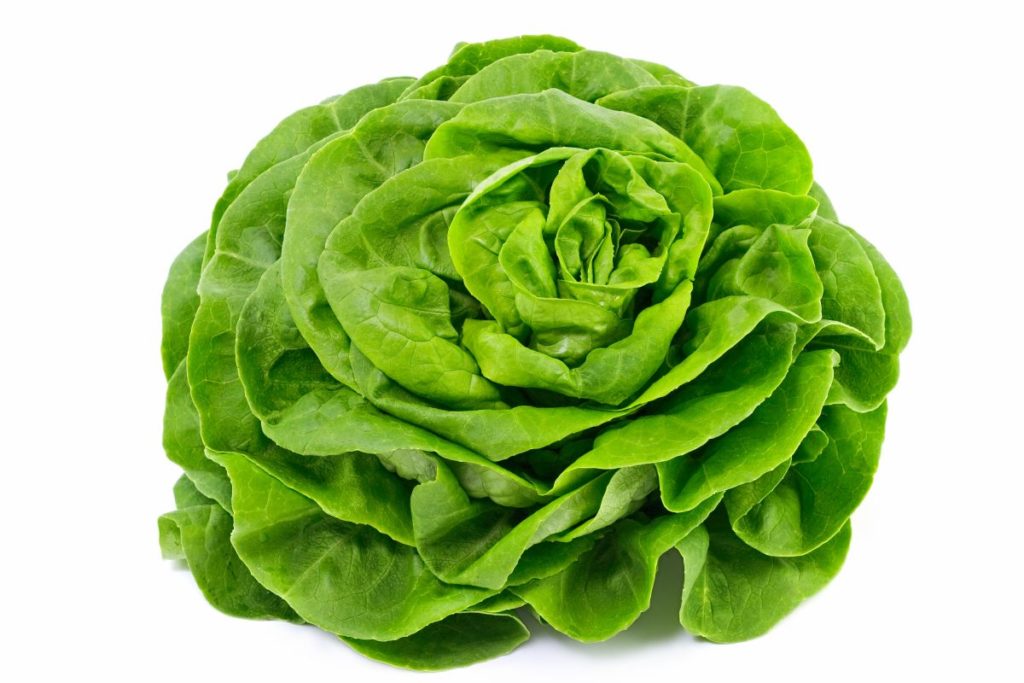 salade-.jpg