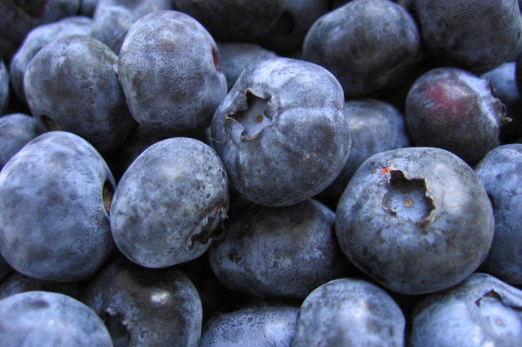 blueberries.jpg