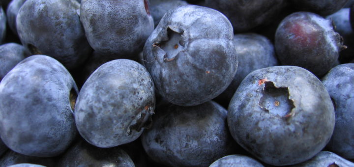 blueberries.jpg