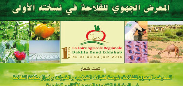 dakhla-foire-regionale-agricole-.jpg