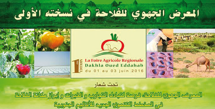 dakhla-foire-regionale-agricole-.jpg