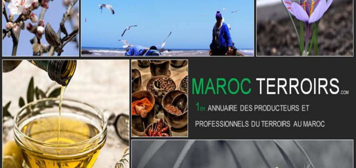 marocterroirs.jpg