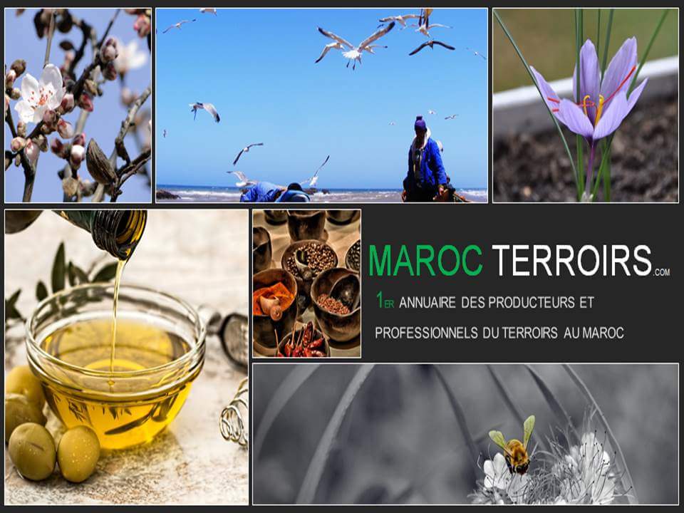 marocterroirs.jpg