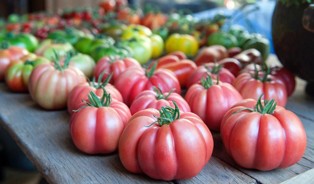 tomate-monterosa-de-semillas-fito.jpg
