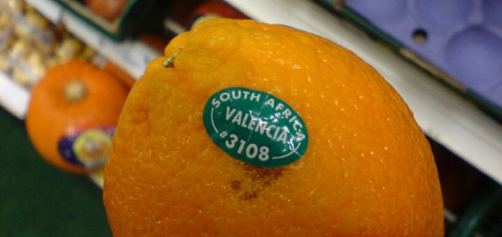 valenciaorange.jpg