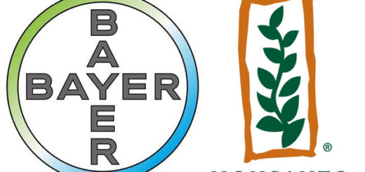 Bayer, Monsanto