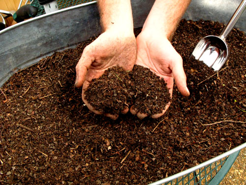 compost