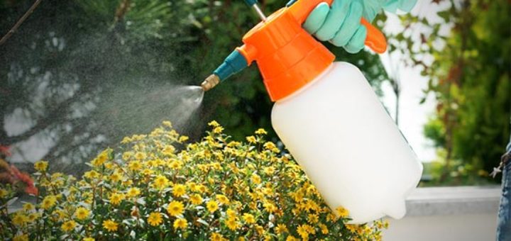 pesticide, jardin