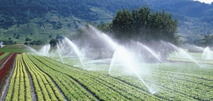 irrigation_eau.jpg