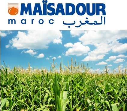 BERD , Driscoll's, Maisadour Maroc