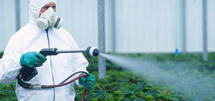 Pesticide, Traitement phytosanitaire