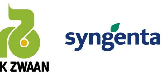 Syngenta, Rijk zwaan, semences