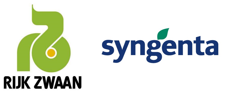 Syngenta, Rijk zwaan, semences