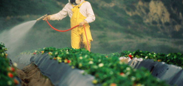 Europe, Pesticides, produits phytopharmaceutiques, réglementation, agriculture biologique