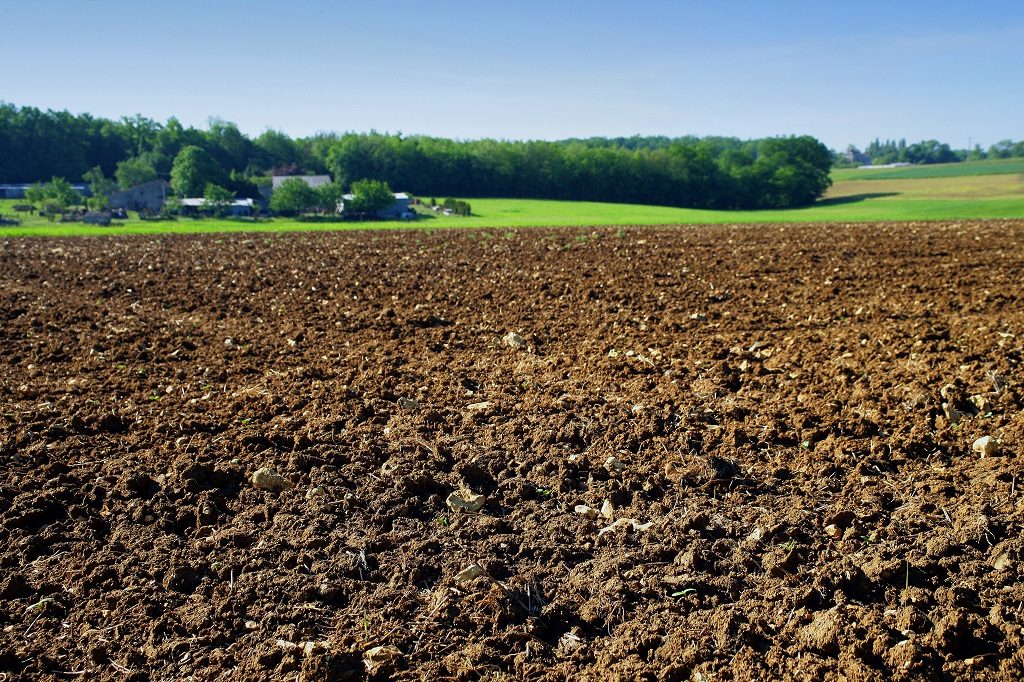 Afrique, terre agricole, Fertilité