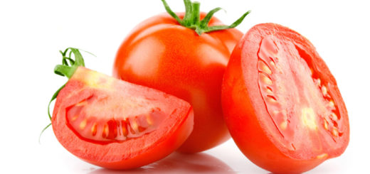 tomate, génétique, Recherche, résistance, Gout, Saveur