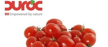 tomate Duroc