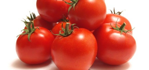 tomate ronde