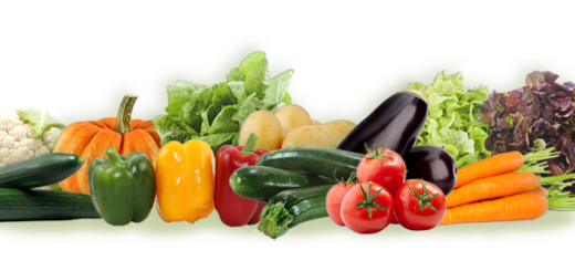 fruits légumes export
