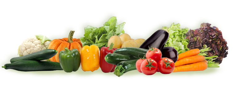 fruits légumes export