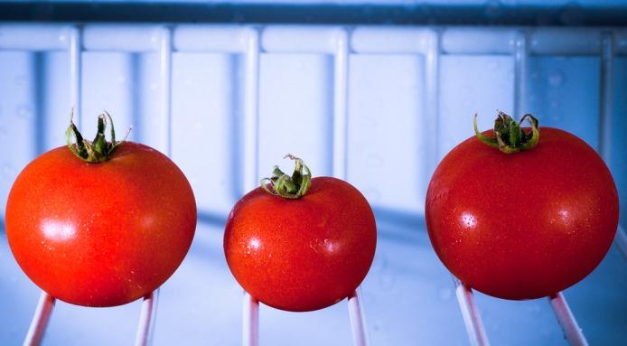 stockage tomate