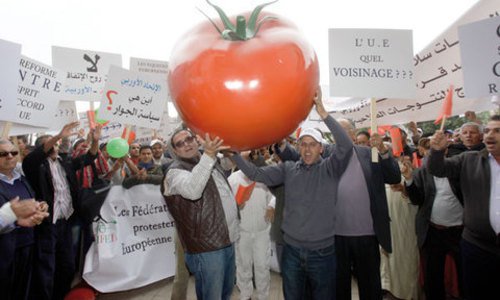 tomate-ue-maroc_05062014152414.jpg