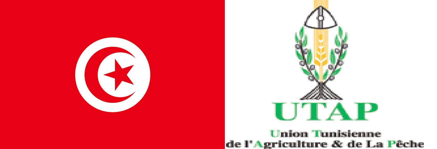 tunisie.jpg