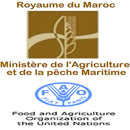 maroc_1ere_conference_internationale_sur_la_cooperation_sud-sud_du_13_au_14_decembre_a_marrakech.png