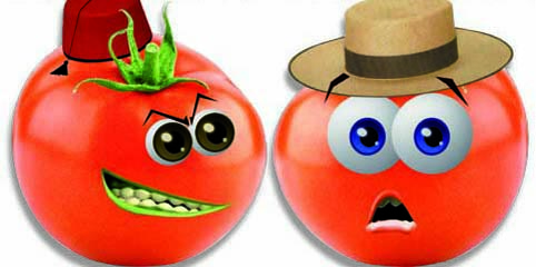 tomate-maroc.jpg