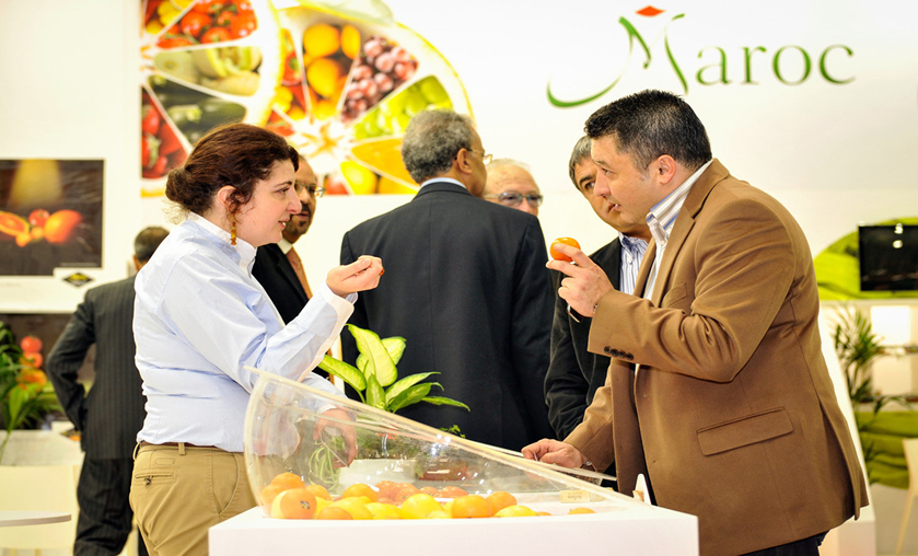 fruit-logistica-maroc-export.png