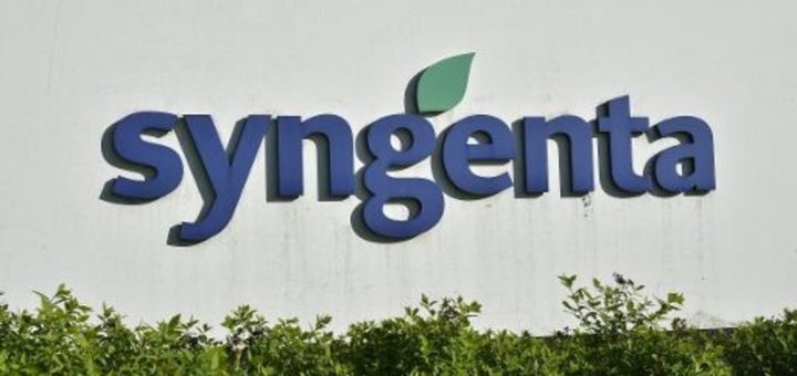 syngenta.jpg