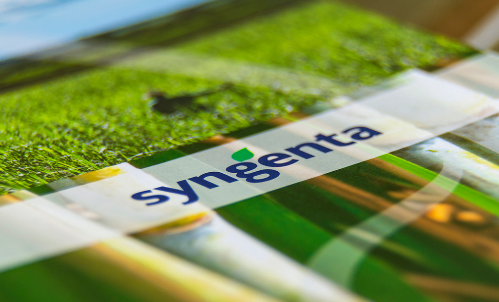 Syngenta s’apprête à lancer la vente de sa division de semences des ...