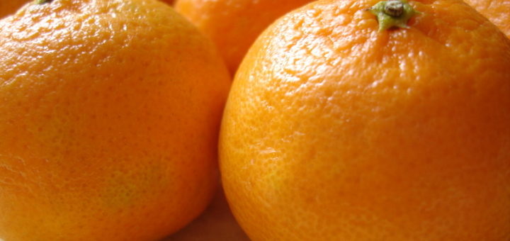 satsuma.jpg