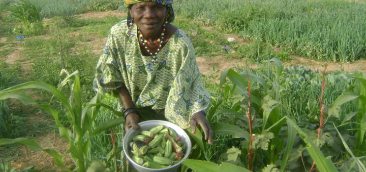 pesticides_senegal.jpg