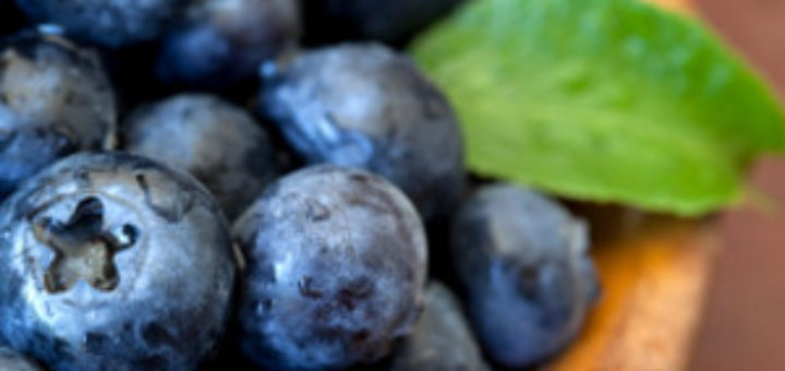 blueberries1-300x300.jpg
