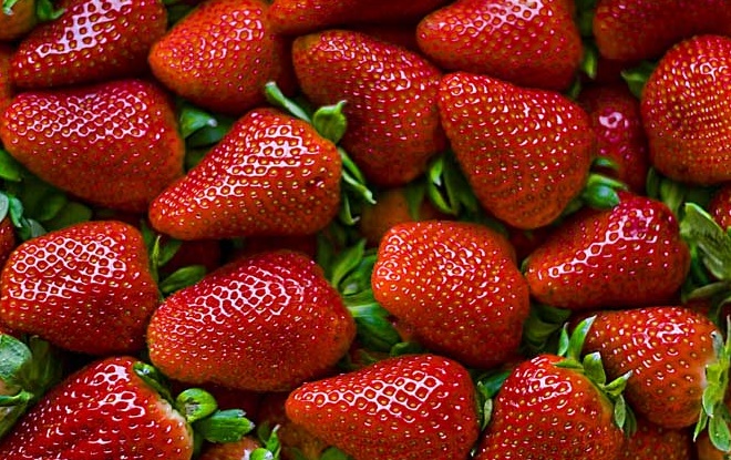 fraises