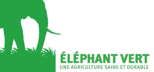 ÉLÉPHANT VERT, BERD, Biofertilisants,  Biopesticides