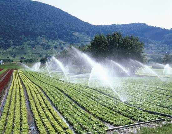 irrigation_eau.jpg