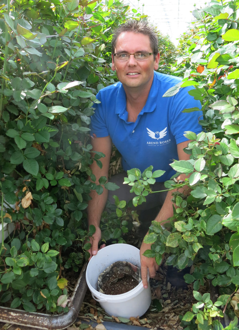 Biobest lutte biologique